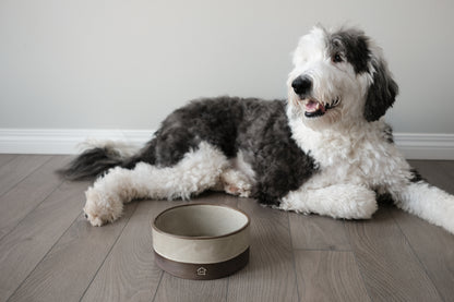 large dog bowl in half white